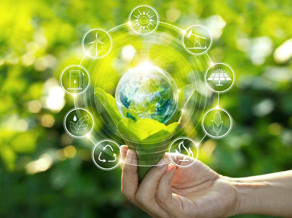 BraveGen Sustainability roadmap