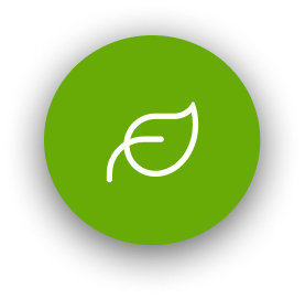 Carbon Leaf Icon