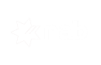 nab-white-logo