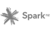 spark-logo